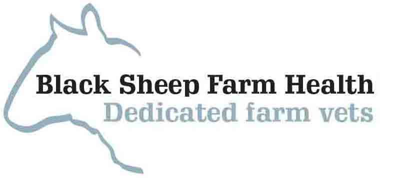 Black Sheep Farm Health