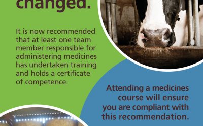 Mastering Medicines Course: an update
