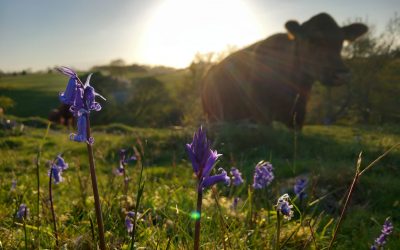 April Newsletter 2026