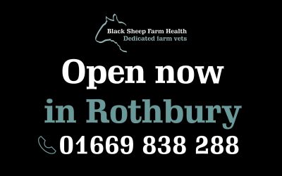 Open day coming soon…