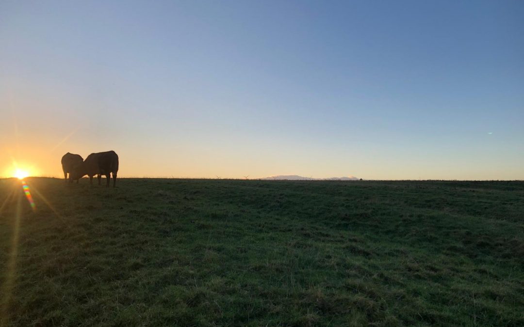 February Newsletter 2026