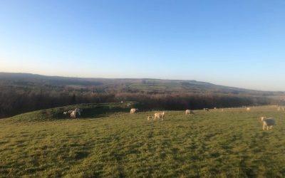 March Newsletter 2026