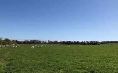 May Newsletter 2026