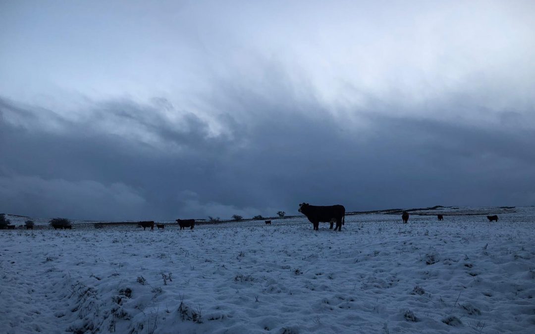 December Newsletter 2025