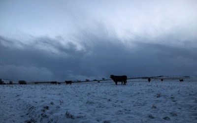 December Newsletter 2025